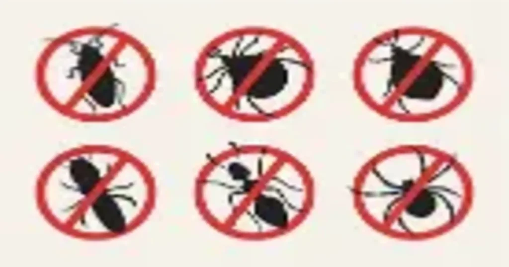 Pest Control Services in Noida