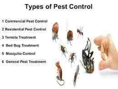 Commercial Pest Control Services