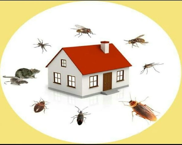 Pest Control Services in Gurgaon